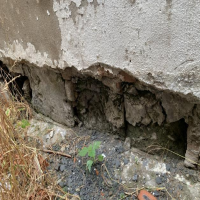 上海市嘉定區(qū)黃渡鎮(zhèn)xx村xx號(hào)房屋危險(xiǎn)性鑒定 