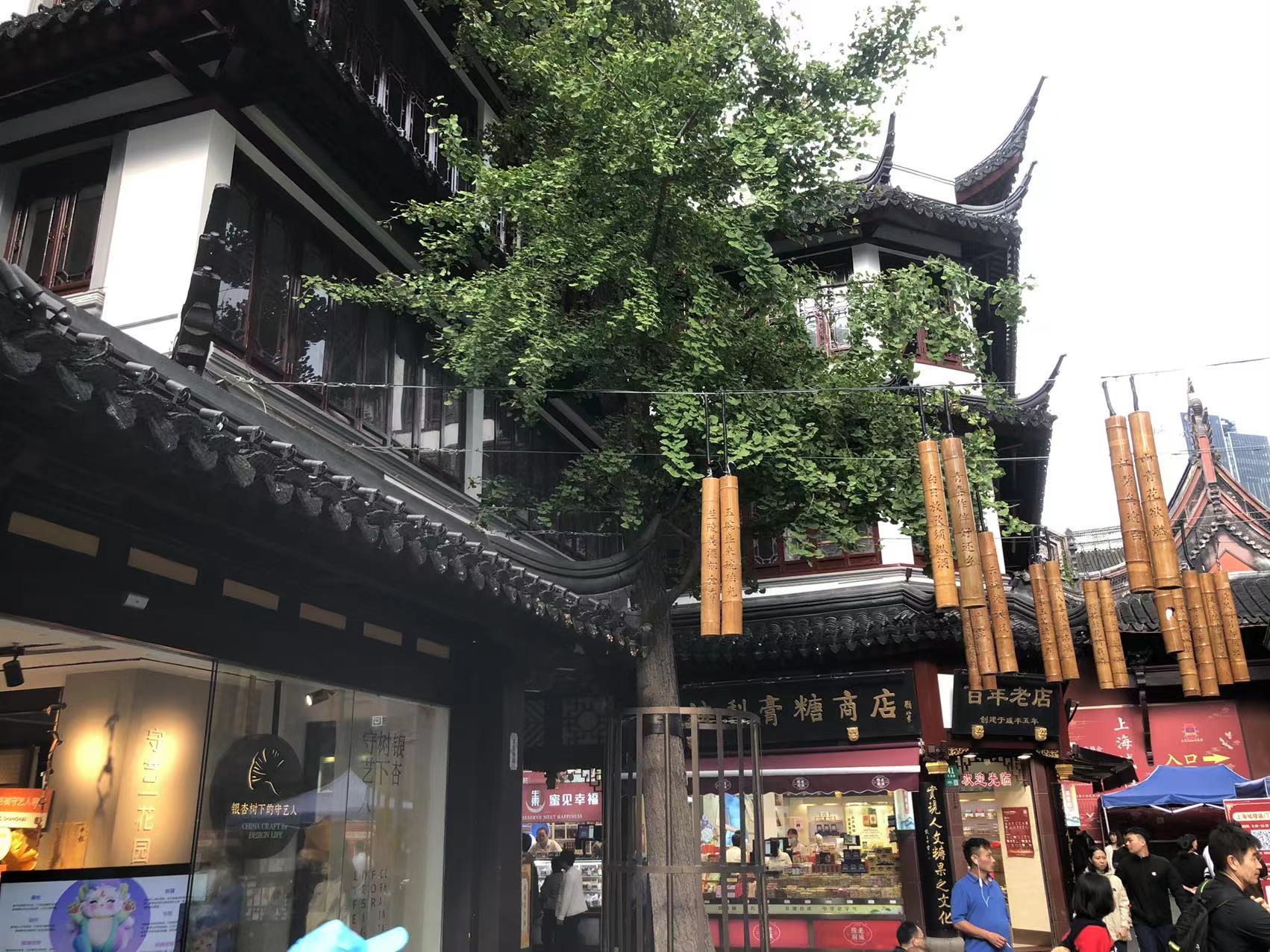 黃浦區文昌路19號城隍廟房屋安全性鑒定 (2) 黃浦區文昌路19號城隍廟房屋安全性鑒定 (2)