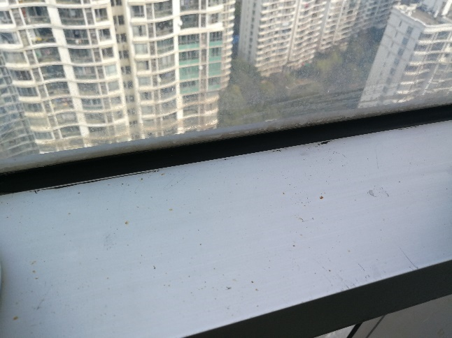 幕墻安全檢測(cè) 幕墻安全檢測(cè)